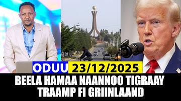 Oduu Kibixata 23/12/2025 | Beela Naannoo Tigraay | Ameerikaa fi Griinlaand  @A3multimediastudio​