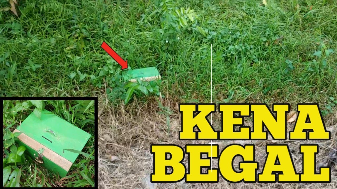 MANCING KETEMU KOTAK AMAL DI SEMAK BELUKAR   boe mancing