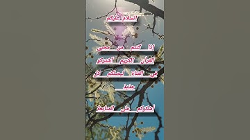 #السعودية #المغرب #العراق #islam #القرآن_الكريم #الجزائر #shortvideo #تلاوة_خاشعة #مصر