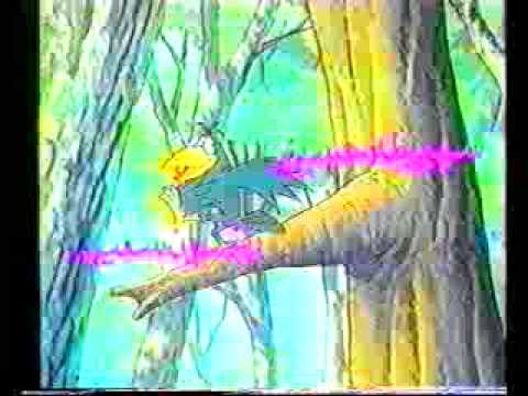 رحله الاصدقاء البدايه