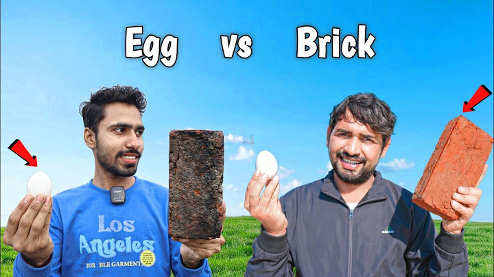 क्या एक अंडा ईंट को तोड़ सकता है? | Brick vs Egg experiment | @MRINDIANHACKER experiment video