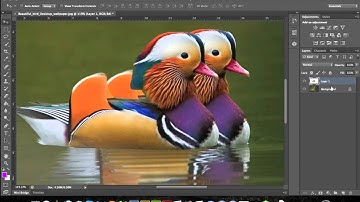 Photoshop 101 - Pen Tool Tutorial (Photoshop CS3-CS6)