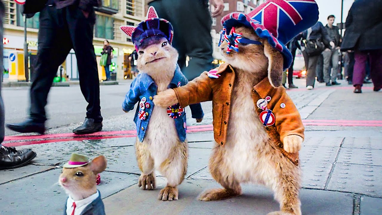 Rabbits discover Big City life | Peter Rabbit Full Final Scene 🔥 4K