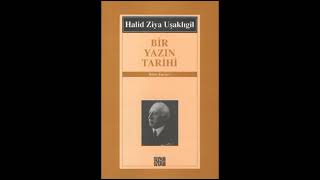 Bir Yazın Tarihi Kitap Özeti