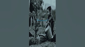 سورة القمر الآيات 10-12