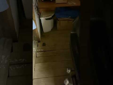 Подсветка порогов и подмашинного пространства прадо 150