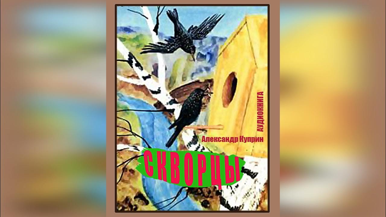 Рассказ куприна скворцы распечатать. Куприн скворцы. Куприн скворцы книга. Рассказ скворцы Белов.