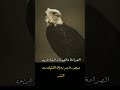 الصراحة والصدق والثقة عبارات اقنباسات Short 