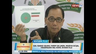 Bt Da Isang Quail Farm Sa Jaen, Nueva Ecija, Tinamaan Ng H5N6 Avian Flu