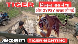 Tiger पास में था और Gypsy ख़राब हो गई || Jimcorbett safari with guests || #wildlifewithsaket #tiger 