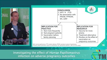 Progress Report II - Dénes Kovács