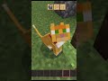 NUESTRA BODA #minecraft