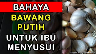 Efek Samping Bawang Putih Untuk Ibu Menyusui by Data Manfaat 718 views 2 years ago 1 minute, 37 seconds