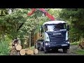 Scania G490 - timbertruck in action