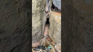 Download Lagu Hoki banget nemu sarang ikan nih mantap MP3