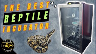 I SAVED Thousands with This Reptile Incubator!