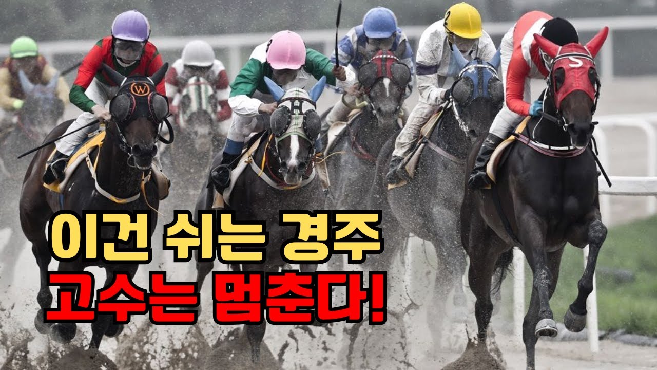 🧠경마 시즌2 제7강! 쉬는 경주, 고수는 여기서 멈춘다