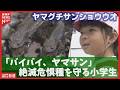300個の卵から40匹を自然へ　絶滅危惧種を守る小学校3年間の挑戦【長門市】