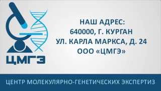 Как сделать тест ДНК в домашних условиях