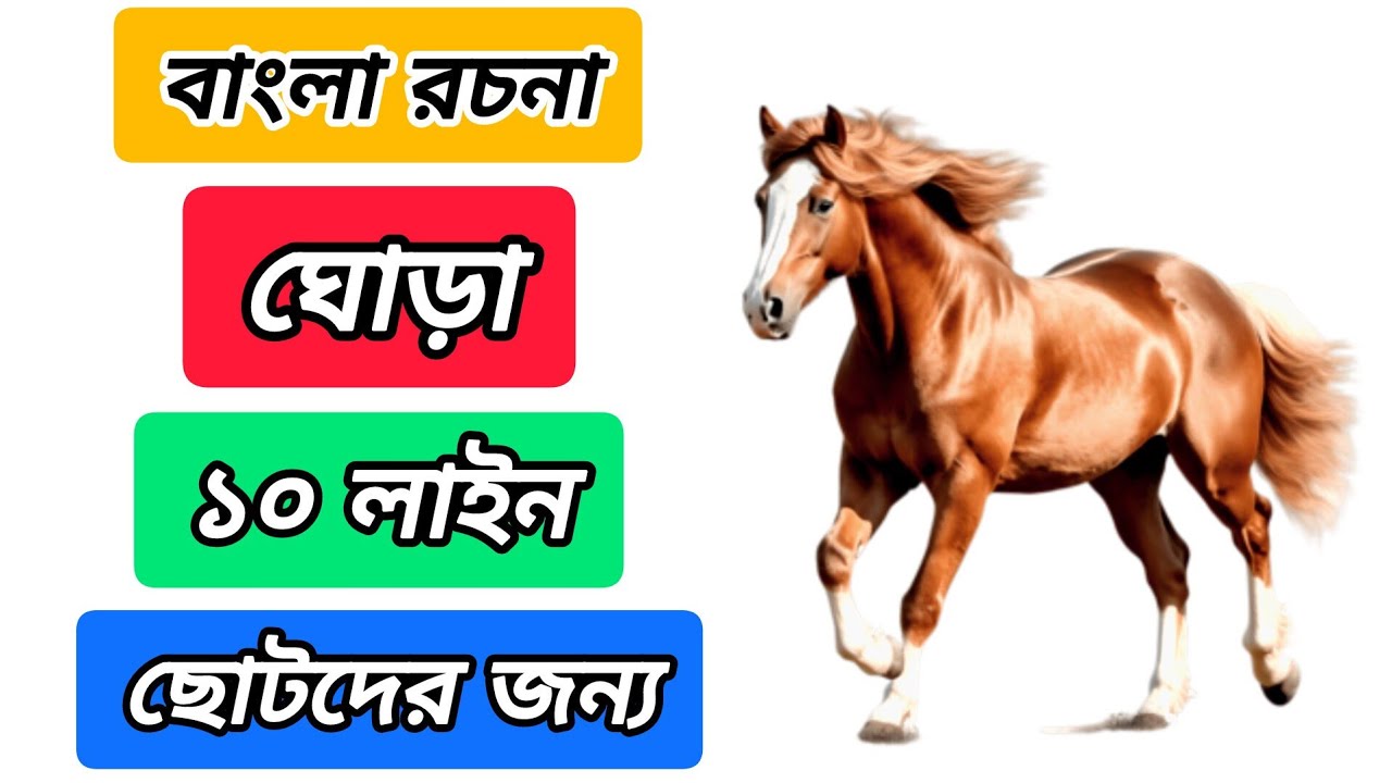 Ghora Raching ঘোড়া রচনা ১০ লাইন | বাংলা রচনা ঘোড়া | Ghora rochona 10 line | Horse ...