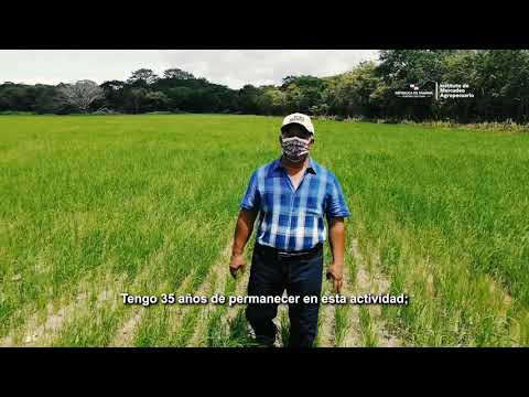 DE LA MANO CON EL PRODUCTOR - #UNIDOSLOHACEMOS POR #UNPANAMÁMEJOR