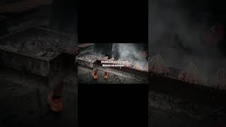 Here WEGOH! Dream Food Festival