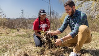Why is Sustainability Important?