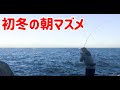 堤防からルアーで青物釣り！トップに水面爆発!?