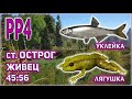 РР4 ОСТРОГ ЛЯГУШКА / РУССКАЯ РЫБАЛКА 4 ЛЯГУШКА / РР4 ЖИВЕЦ / РР4 ОСТРОГ УКЛЕЙКА / RF4 FROG