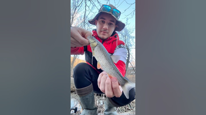 ŠOK! Klen ne može da odoli ovom mamcu! Ubitačan mamac za klena u svako doba godine 😱🐟