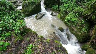 Le ruisseau de Pignols (VicleComte / PuydeDôme : Auvergne) 28 avril 2024