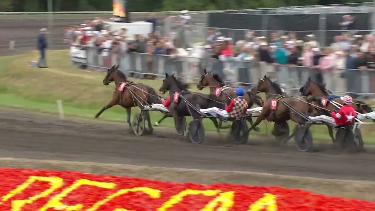 Grote Prijs Stad Waregem 2025 – Waregem Koerse | Volledige Race