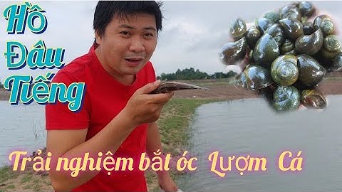 Hồ Dầu Tiếng | Trải Nghiệm Bắt Ốc Lượm Cá | Mùa Nước Cạn Bờ Hồ Dầu Tiếng Săn Bắt Hái Lượm.