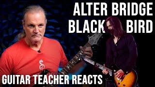 Music THEORY Teacher Reacts To Blackbird Alter Bridge Live (4K)