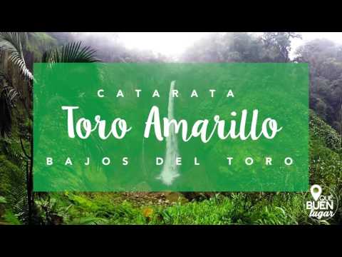 Vídeo: Las Cascadas Más Bellas De Costa Rica