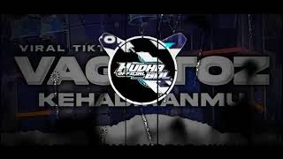 Dj Sound Horeg Hudha Official Production Middle Battle Of Style Party Vagetoz Kehadiranmu Full Bass