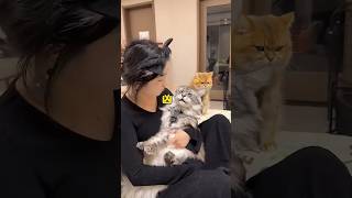 Youwhos Always Talking About Millions