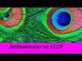 Ведьмоскоп из СССР.  №1459