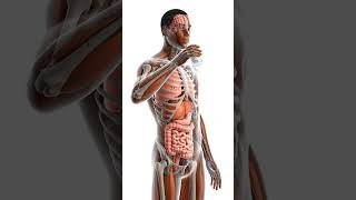 Malik Harrison #lifeisbutadream