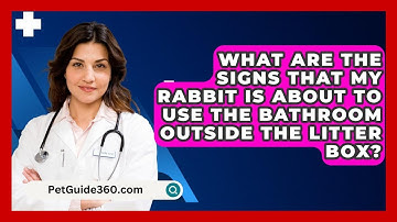 What Are the Signs That My Rabbit Is About to Use the Bathroom Outside the Litter Box?