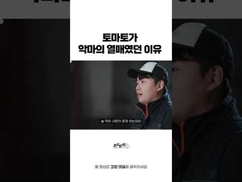 <strong>토마토가</strong> 악마의 열매였던 이유는 뭘까요? | 한태웅의 푸드트럭