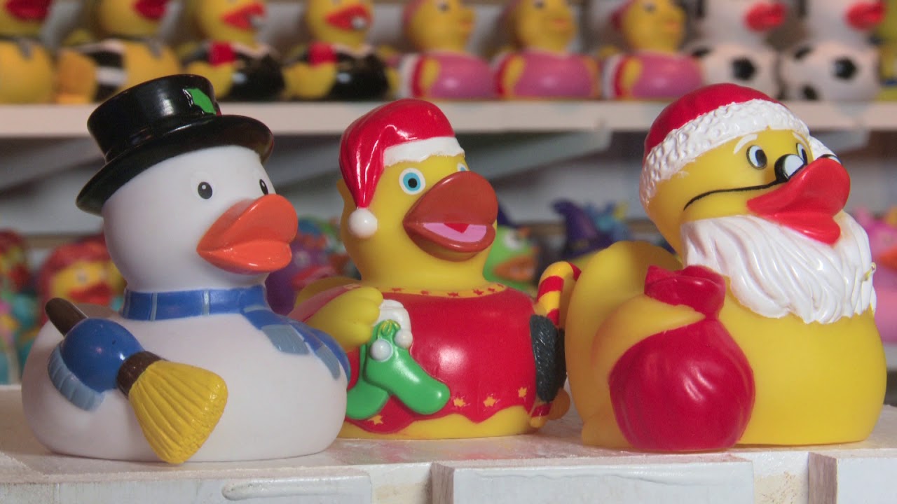 Ducks in the Window Shop Video
