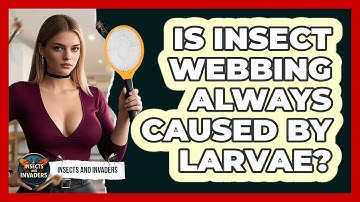 Is Insect Webbing Always Caused By Larvae? - Insects and Invaders