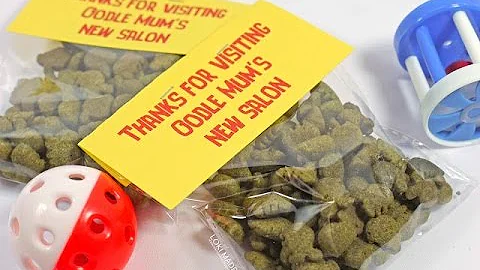 How to make Goodie Bag Toppers using Silhouette and Fonts