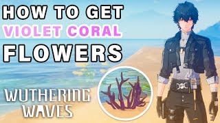 Violet Coral Locations | Ascension Material ► Wuthering Waves