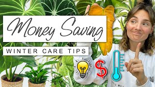 Spend Less + Keep Your Houseplants THRIVING This Winter ❄ Money Saving Winter House Plant Tips