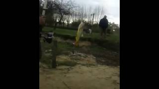 pesca de dorado en el camping argentina