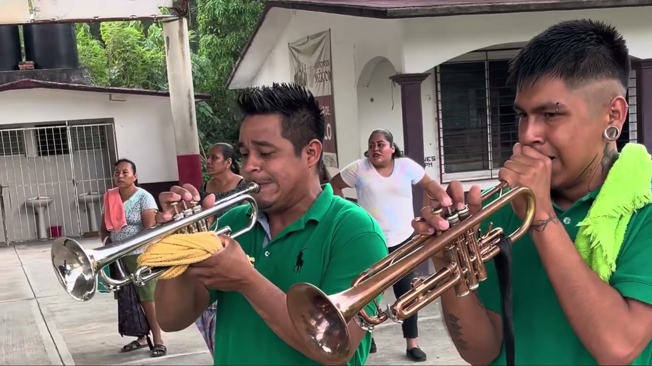 HUAPANGOS HUASTECOS CON BANDA DE VIENTO 2025 Banda Palo de Rosa 