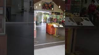 Bornean Sun Bear Conservation Center