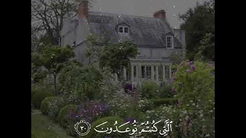 القارئ هاني العزوني